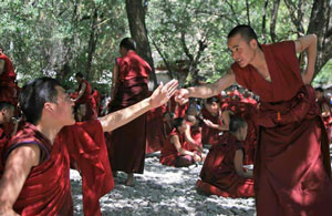 Sera Monastery's Monks Debating Activities